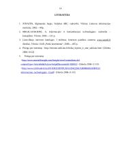 Organizacija ir jos informacijos poreikiai 13 puslapis