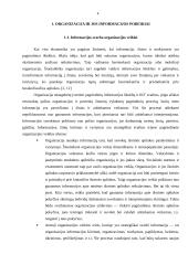 Organizacija ir jos informacijos poreikiai 3 puslapis