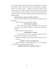 Organizacijos elgsenos pagrindai, valdymo metodai bei darbuotojų motyvavimas 17 puslapis