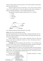 Organizacijos elgsenos pagrindai, valdymo metodai bei darbuotojų motyvavimas 4 puslapis