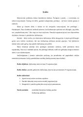 Darbuotojų motyvacija bei jos didinimas 3 puslapis