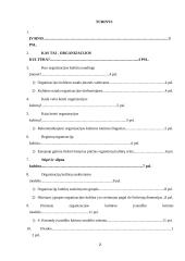 Organizacijos kultūra ir jos stiprinimo būdai 2 puslapis