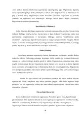 Organizacijos kultūra ir jos stiprinimo būdai 11 puslapis