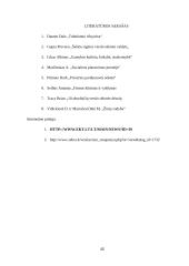 Organizacijos kultūra ir jos stiprinimo būdai 15 puslapis