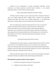 Organizacijos kultūra ir jos stiprinimo būdai 7 puslapis