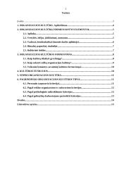 Organizacijos kultūra ir ją formuojantys elementai 2 puslapis