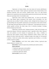 Organizacijos prisitaikymas prie aplinkos pokyčių 2 puslapis