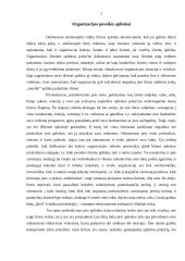 Organizacijos prisitaikymas prie aplinkos pokyčių 3 puslapis