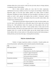 Organizacijos prisitaikymas prie aplinkos pokyčių 4 puslapis