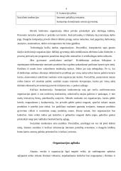 Organizacijos prisitaikymas prie aplinkos pokyčių 5 puslapis