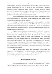 Organizacijos prisitaikymas prie aplinkos pokyčių 6 puslapis