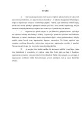 Organizacijos prisitaikymas prie aplinkos pokyčių 8 puslapis