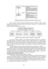 Organizacijos valdymas, valdymo personalas ir struktūros 12 puslapis