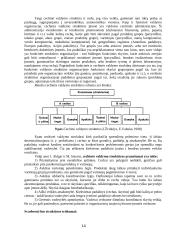 Organizacijos valdymas, valdymo personalas ir struktūros 14 puslapis