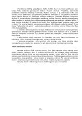 Organizacijos valdymas, valdymo personalas ir struktūros 15 puslapis