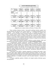 Organizacijos valdymas, valdymo personalas ir struktūros 16 puslapis