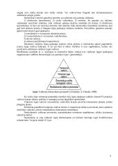 Organizacijos valdymas, valdymo personalas ir struktūros 7 puslapis