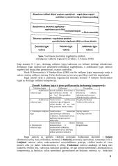 Organizacijos valdymas, valdymo personalas ir struktūros 8 puslapis