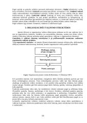 Organizacijos valdymas, valdymo personalas ir struktūros 10 puslapis