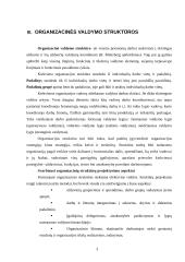 Organizacijos valdymo struktūra: AB "Eurobankas" 3 puslapis