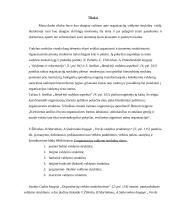 Organizacijos valdymo struktūrų raida 2 puslapis