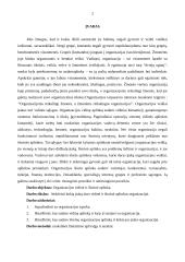 Organizacijos charakteristikos bei vidinė ir išorinė aplinkos 2 puslapis