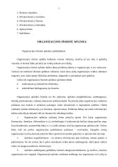Organizacijos charakteristikos bei vidinė ir išorinė aplinkos 7 puslapis