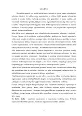 Organizacijų konfliktai, jų priežastys 3 puslapis