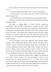 Sėkmingų organizacijų teorijos 2 puslapis