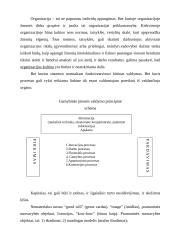 Sėkmingų organizacijų teorijos 3 puslapis