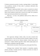 Sėkmingų organizacijų teorijos 4 puslapis