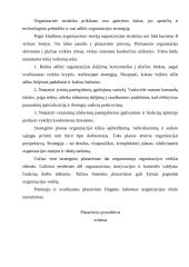 Sėkmingų organizacijų teorijos 5 puslapis