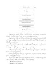 Sėkmingų organizacijų teorijos 6 puslapis