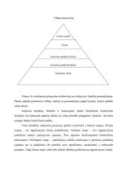 Sėkmingų organizacijų teorijos 7 puslapis