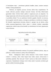 Sėkmingų organizacijų teorijos 8 puslapis