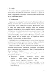 Organizacijų valdymo modeliai 3 puslapis