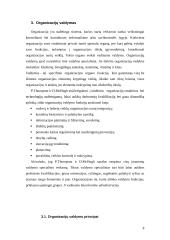 Organizacijų valdymo modeliai 8 puslapis