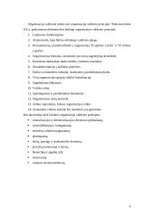 Organizacijų valdymo modeliai 9 puslapis