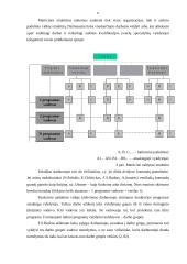 Organizacijų valdymo struktūros 11 puslapis