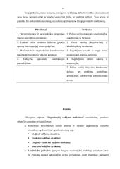 Organizacijų valdymo struktūros 12 puslapis