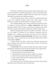 Organizacijų valdymo struktūros 3 puslapis