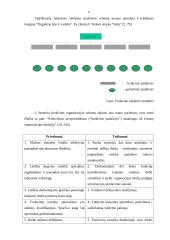 Organizacijų valdymo struktūros 8 puslapis