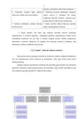 Organizacijų valdymo struktūros 9 puslapis