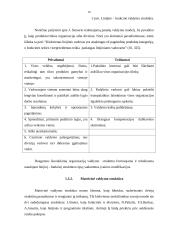 Organizacijų valdymo struktūros 10 puslapis