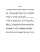 Organizacinė elgsena ir konfliktai 2 puslapis