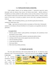 Organizacinė elgsena: agroserviso įmonės kultūros tyrimas 5 puslapis