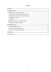 Organizacinės struktūros atnaujinimas 2 puslapis