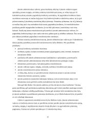 Organizacinės struktūros atnaujinimas 13 puslapis