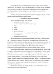 Organizacinės struktūros atnaujinimas 15 puslapis