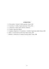 Organizacinės struktūros atnaujinimas 17 puslapis